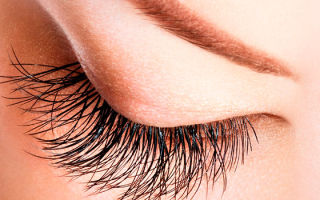 Какие заболевания ресниц глаз опасны и когда нужна диагностика